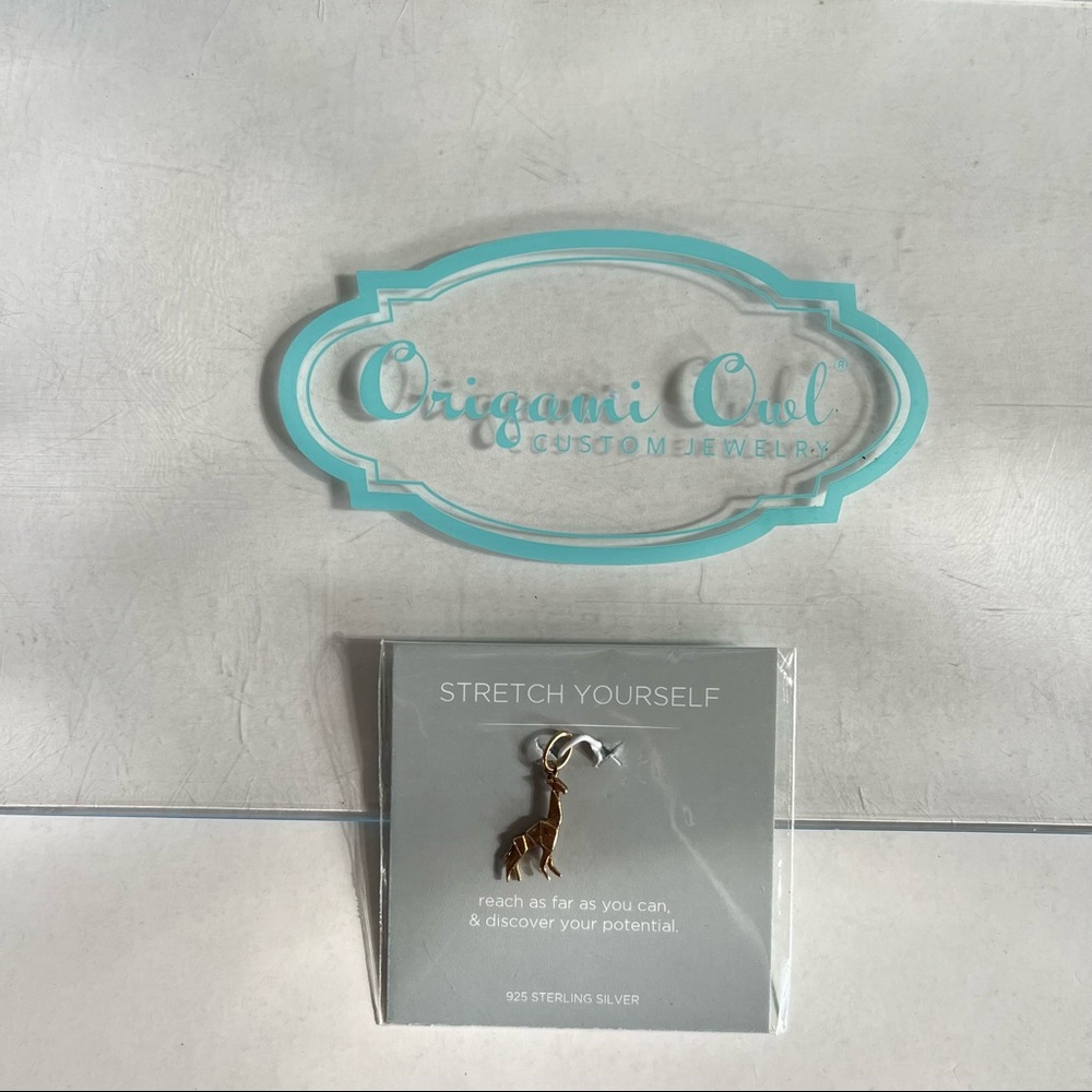 Origami Owl Bundle - Picture 5 of 13